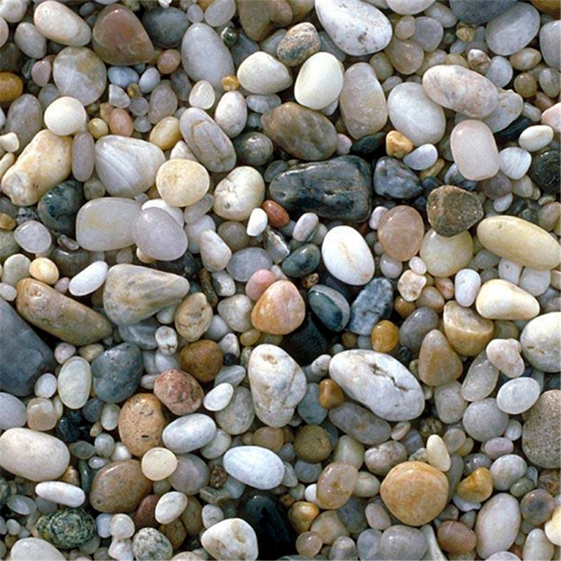 九一看片网站下载